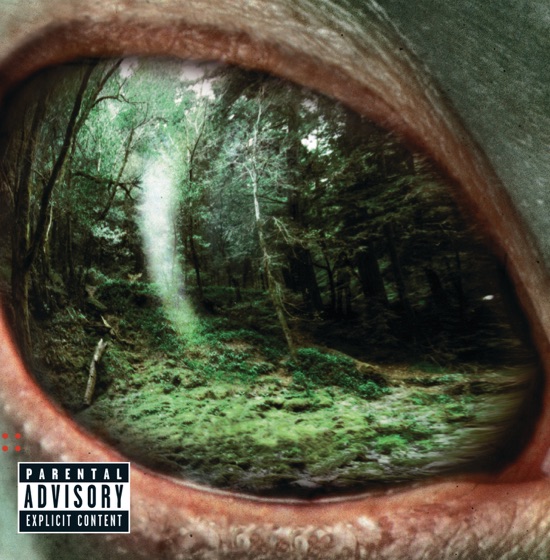 Cover artwork for Lizard Bones