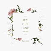 Heal Our Land (Radio Mix) artwork