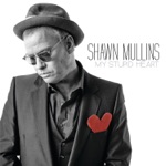 Shawn Mullins - It All Comes Down To Love
