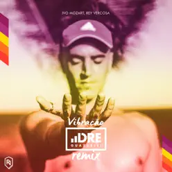 Vibracao (Dre Guazzelli Remix) - Single - Ivo Mozart Vibracao (Dre Guazzelli Remix) - Single - Ivo Mozart