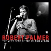 Robert Palmer - I Didn't Mean To Turn You On
