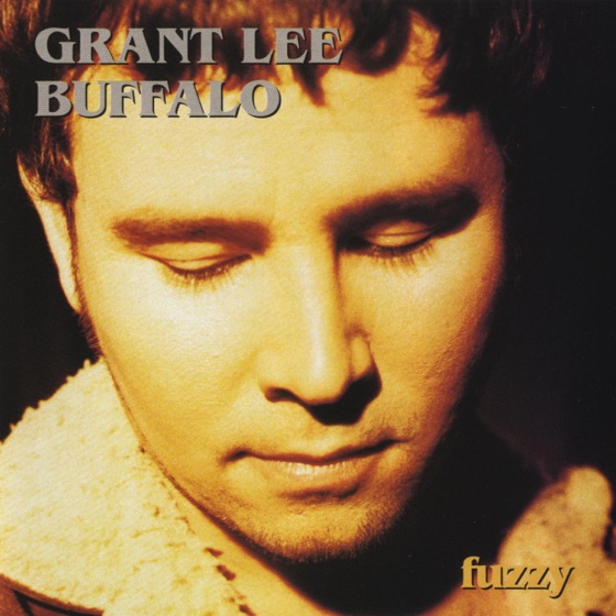 Cover artwork for Fuzzy