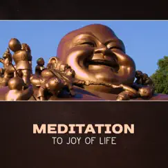 Meditation to Joy of Life by Blissful Meditation Academy album reviews, ratings, credits