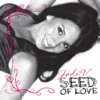 Seed of Love artwork