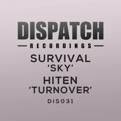 Sky / Turnover - Single by Survival & Hiten album reviews, ratings, credits