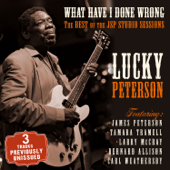 What Have I Done Wrong - The Best of the JSP Sessions - Lucky Peterson