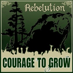 Rebelution - Heart Like a Lion