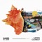 Listen Closely (feat. Safe) - DVBBS lyrics