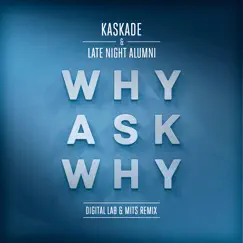 Why Ask Why (Digital Lab & MITS Remix) - Single by Kaskade & Late Night Alumni album reviews, ratings, credits
