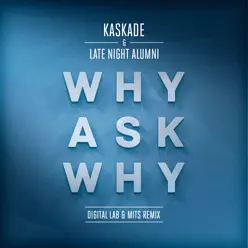 Why Ask Why (Digital Lab & MITS Remix) - Single - Kaskade