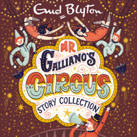 Enid Blyton - Mr Galliano's Circus Story Collection artwork