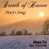 Breath of Heaven (Mary's Song) - Single album lyrics, reviews, download