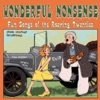 Wonderful Nonsense: Fun Songs of the Roaring Twenties artwork