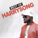 Beta Pikin - Harrysong