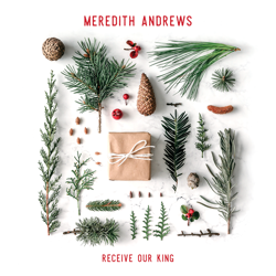 Receive Our King - Meredith Andrews Cover Art