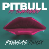 Piensas (Dile la Verdad) [feat. Shaggy & Gente de Zona] [Remix] artwork