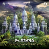 Echoes from Jangala artwork