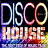 Disco House, Vol. 1 (The Next Step of House Music)