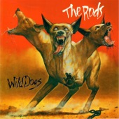 Wild Dogs artwork