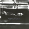 Thea Gilmore - Throwing In