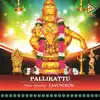 Stream & download Pallikattu - Single