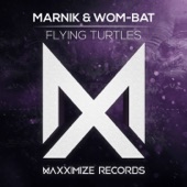 Flying Turtles (Extended Mix) artwork