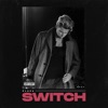 Switch - Single