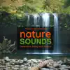 Stream & download Nature Sounds: Experience Being With Nature