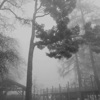 Skinthings - EP