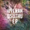 Usuthu (feat. B’utiza) artwork