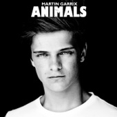 Animals (Remixes) - EP artwork