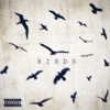 Birds - Single