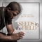 Seeds in the Field - Deacon Don Dydy lyrics