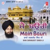Bhai Sarabjeet Singh Ji - Abchal Nagar Gobind Guru Ka