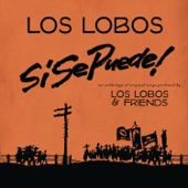 Si Se Puede!: Los Lobos and Friends artwork
