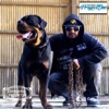 Cuerpito Mero (feat. Proyecto One) - Single