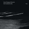 Andy Sheppard Quartet - I Want to Vanish