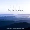 20 Nature Sounds - A Collection of New Age Relaxing Music, Nature Sounds, Rain, Ocean Waves album lyrics, reviews, download