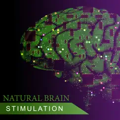 Natural Brain Stimulation: Music for Mental Ability, Concentration, Study, Better Memory, Heal Your Mind, Stress Relief Sounds and Relaxing Melody, Piano, Cello, Violin Music by Brain Power Academy album reviews, ratings, credits