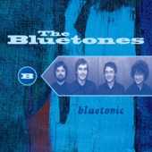 Bluetones artwork