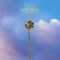 Palm Trees - Sam Johnson lyrics