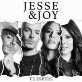 Te Esperé artwork