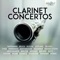 Double Concerto in E Minor, Op. 88: II. Allegro moderato artwork