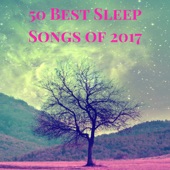 50 Best Sleep Songs of 2017 - Calm Lullaby Collection to Help Sleeping Through the Night artwork