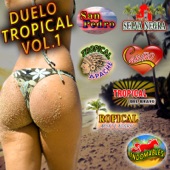 Tropical Del Bravo - Cumbia Morena