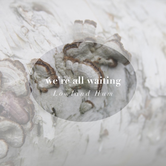Cover artwork for We're All Waiting