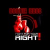 Boogie Bros - Fight for Your Right (RainDropz! Bootleg Remix)