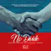 No Divide (feat. Marie Tweek) album lyrics, reviews, download