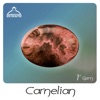 Carnelian 1st Gem - EP