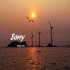 Sorry - Single